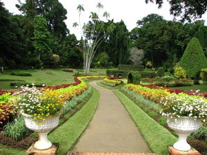 Peradeniya Garden