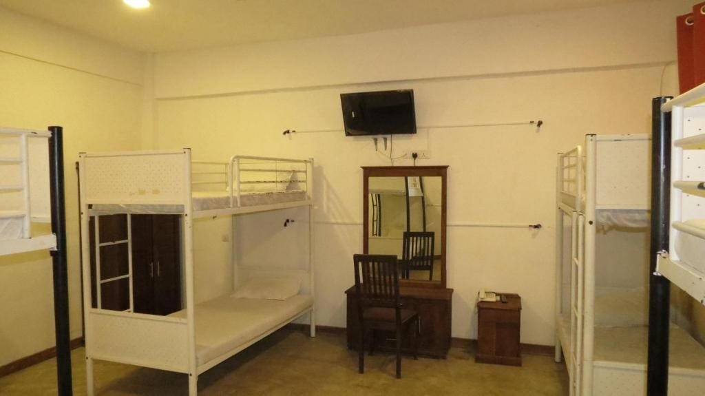 Bunk Bed in Mixed Dormitory Room